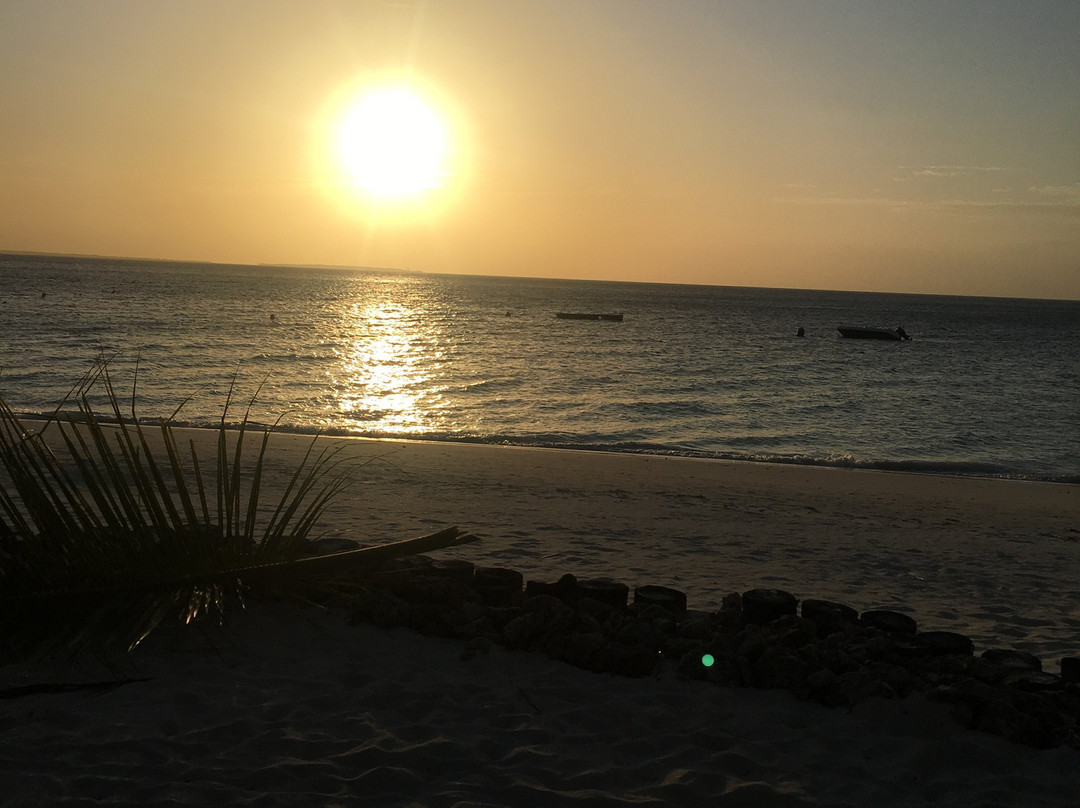 Zanzibar & Beyond Safaris-桑给巴尔市必去景点