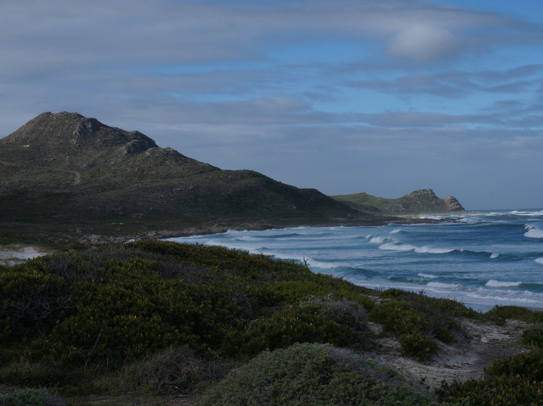 Topnotch Tours - Day Tours-开普敦中心区必去景点