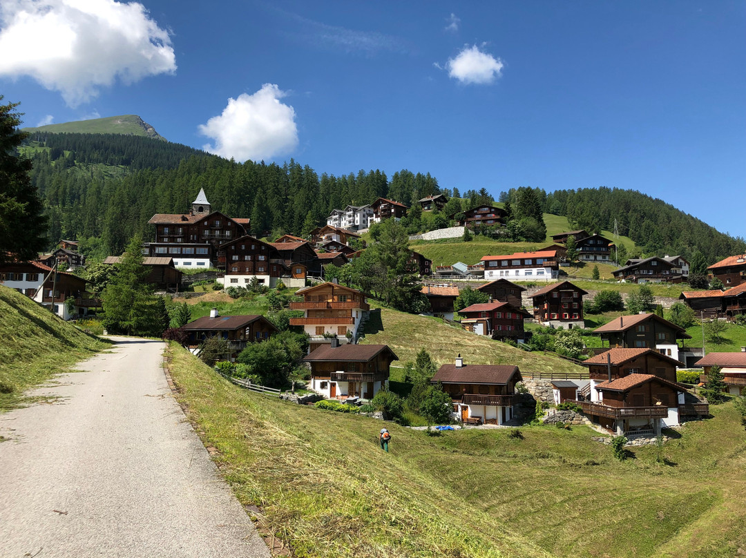 The Alpina Mountain Resort主图