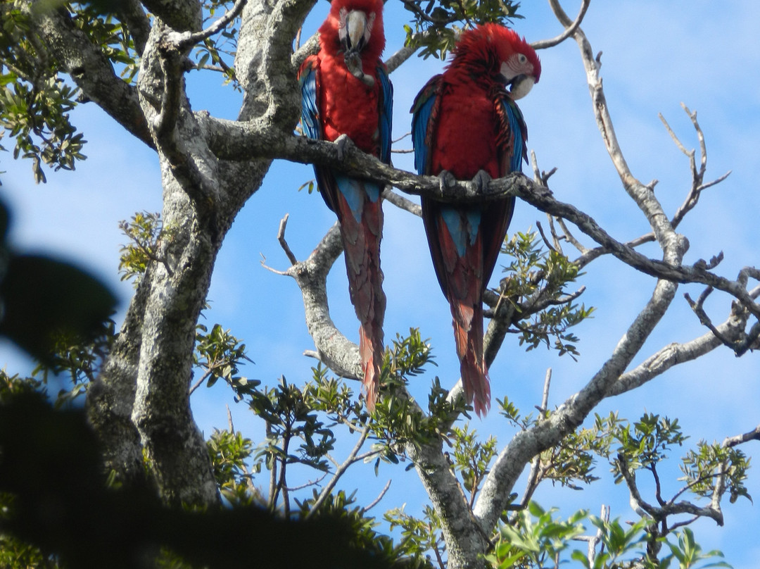 Buraco das Araras Ecoturismo-雅尔丁必去景点