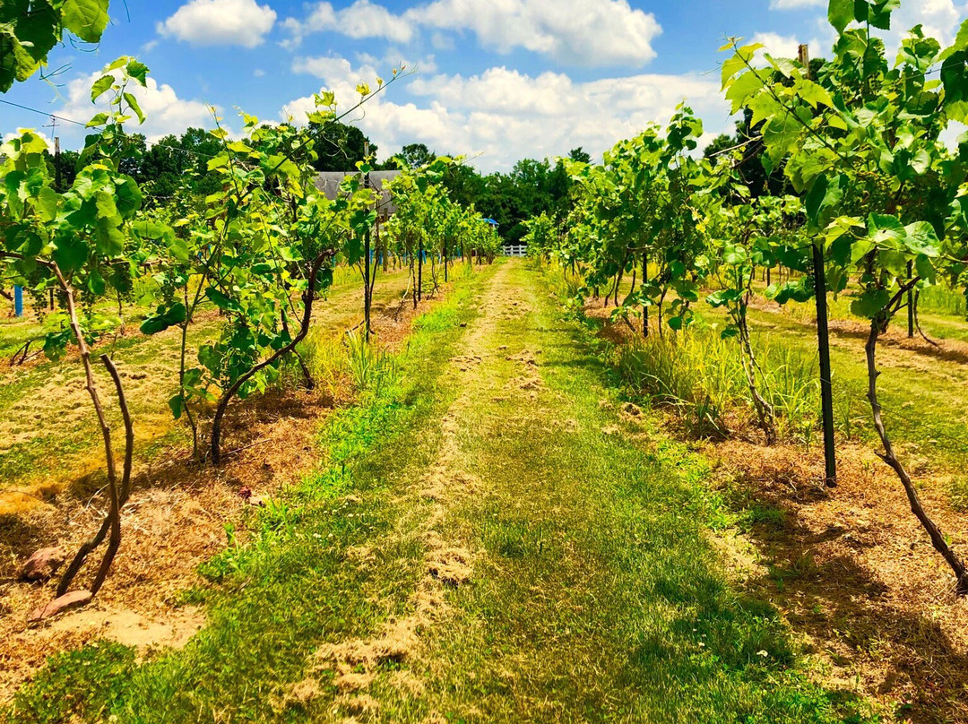 Brignole Vineyards-East Granby必去景点