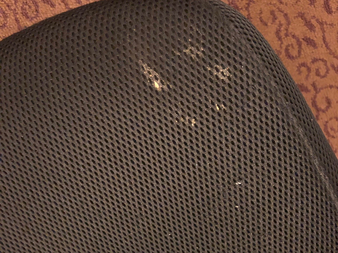 Best Western Plus Carousel Inn & Suites主图