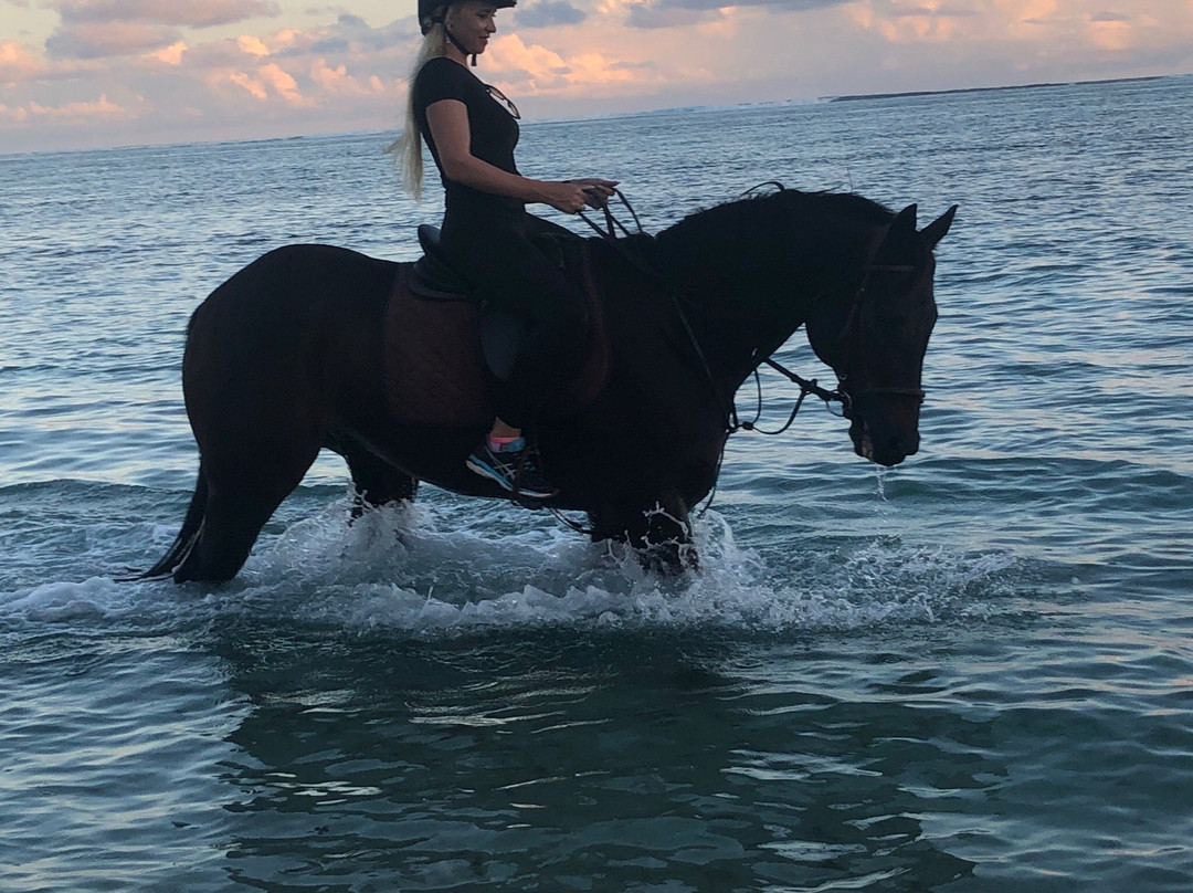 HORSE RIDING RIAMBEL- Centre Equestre De Riambel景点图片