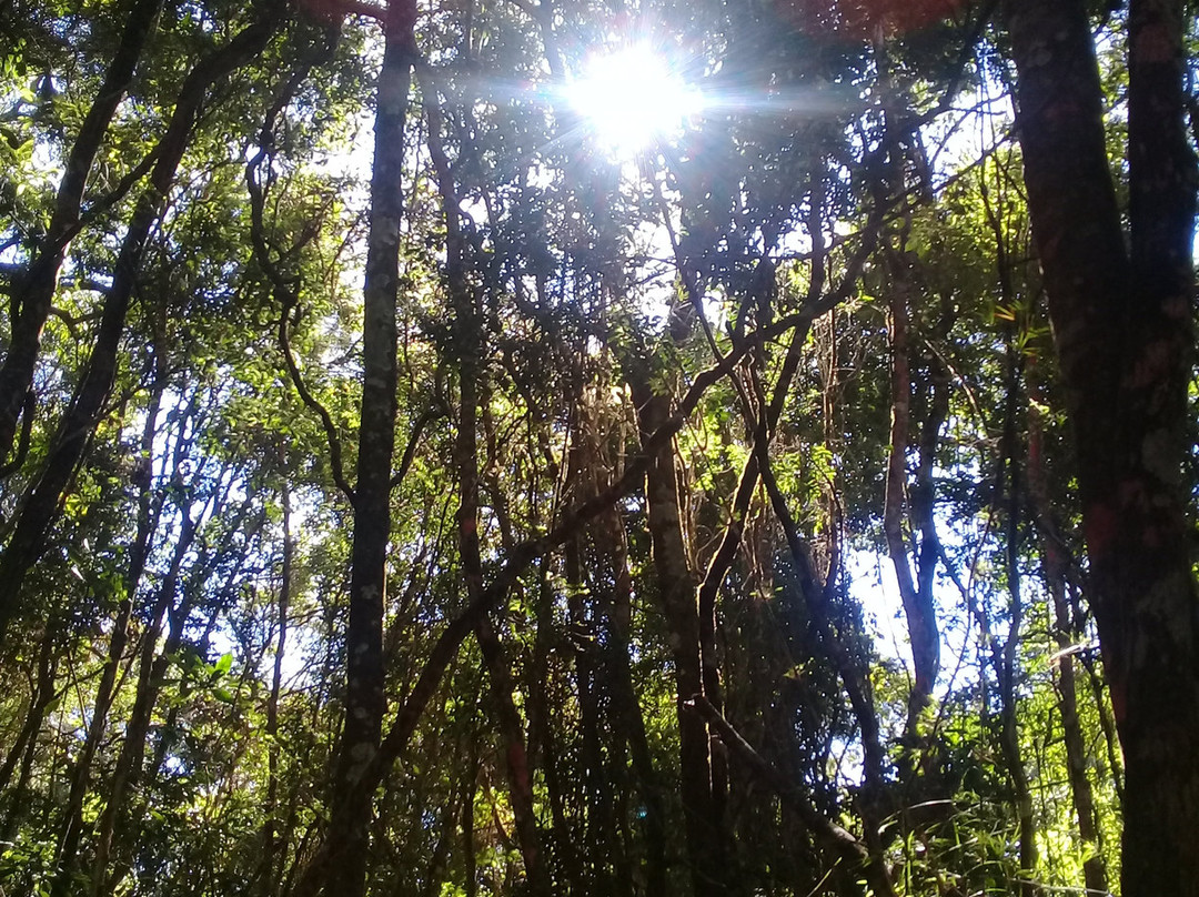 Banho do Belchior-Catas Altas必去景点