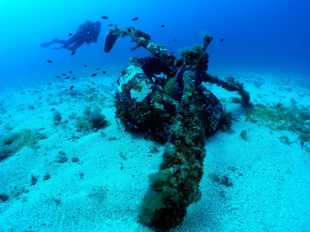 Nautilus Diving Center景点图片