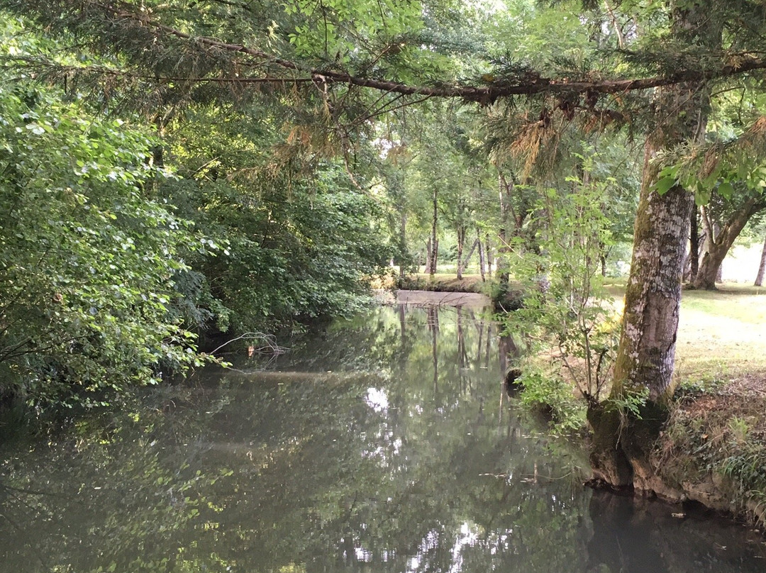 L'Etang des Reynats主图