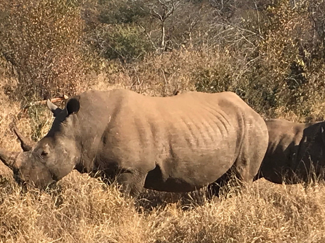 Toro River at Toro River Lodges-霍德斯普鲁特必去景点