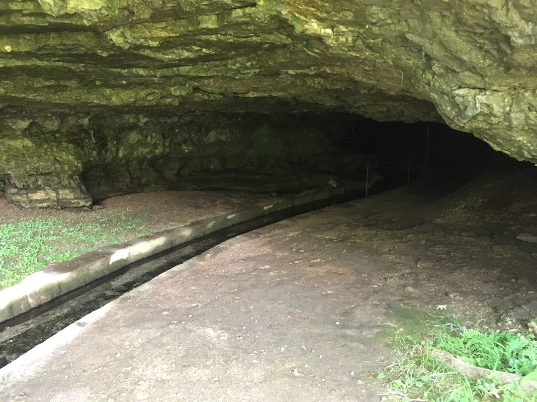 Ozark Caverns景点图片