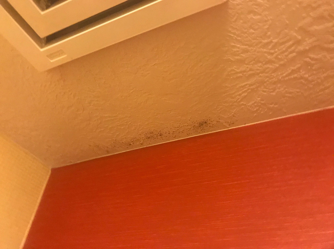 Best Western Plus Provo University Inn主图