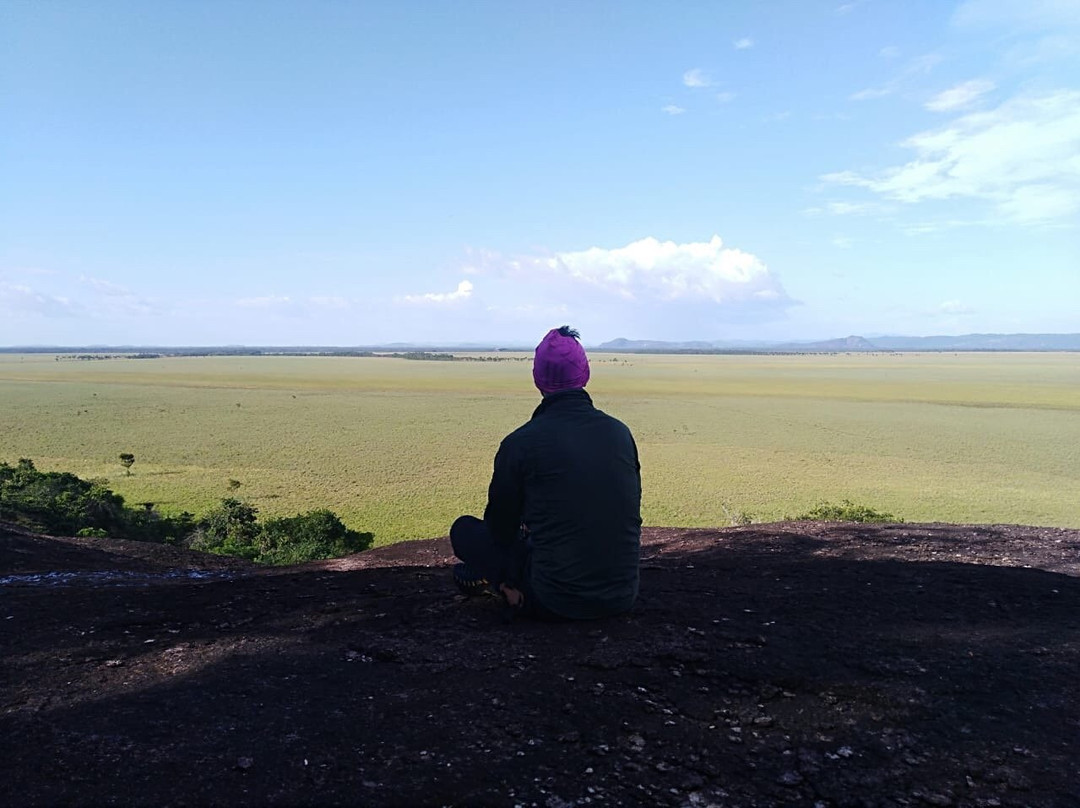 El Tuparro National Park-Puerto Carreno必去景点