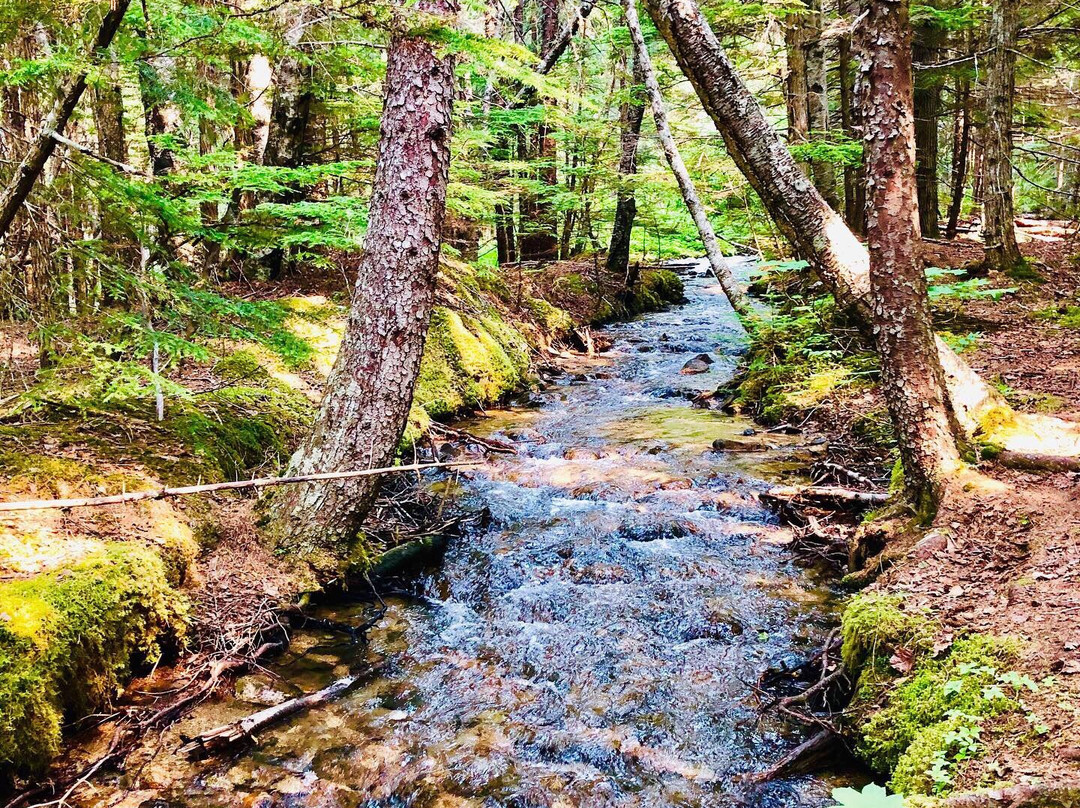 Lower Dewey Lake Hiking Trail-史凯威必去景点