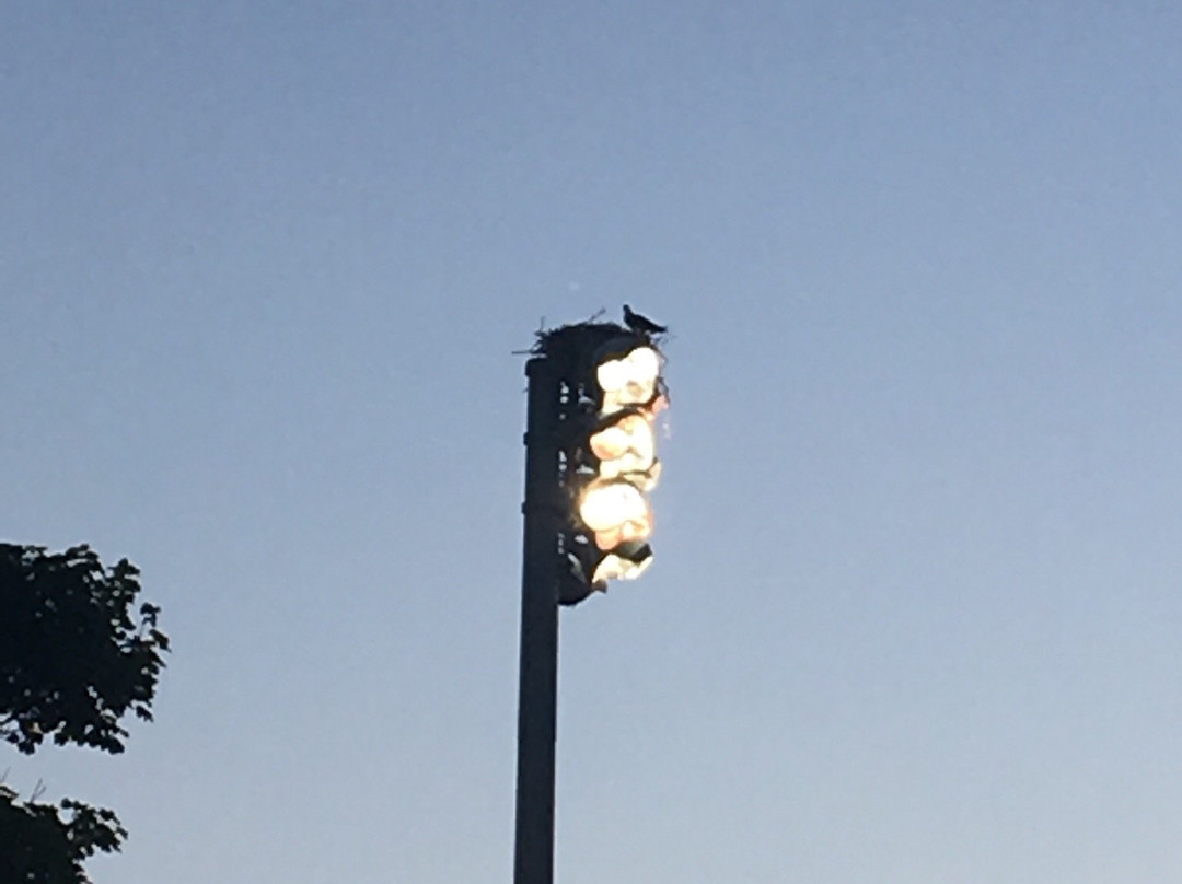 Veterans Field-查塔姆必去景点