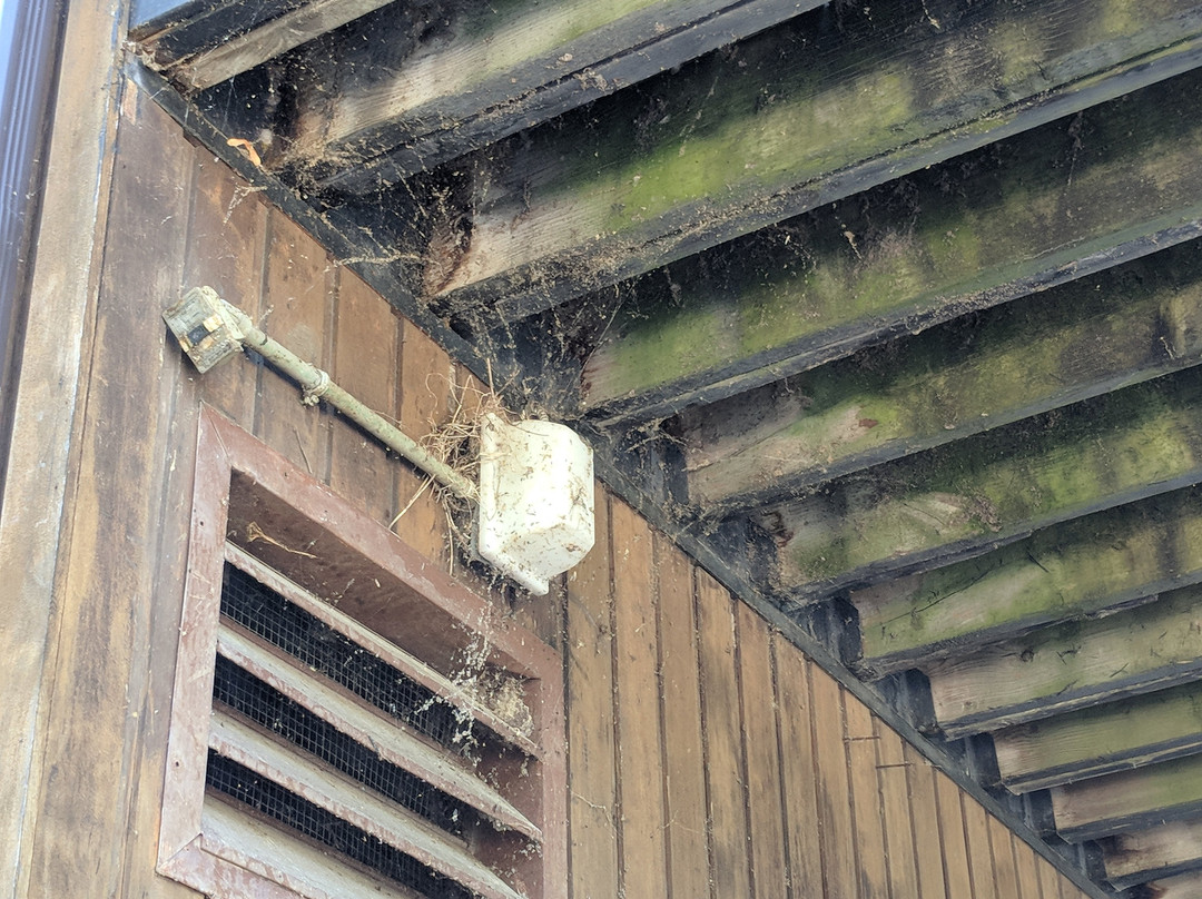 Benmiller Inn & Spa主图