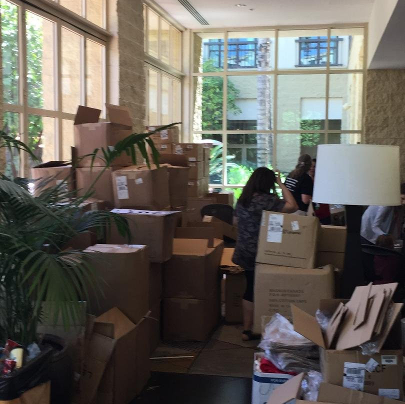 坦帕米慎棕榈酒店主图