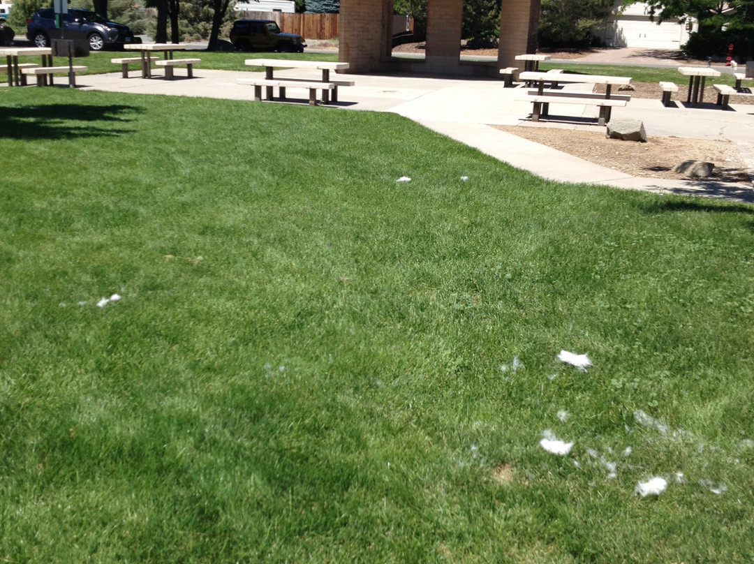 Korean War Veterans Memorial Park-卡森城必去景点