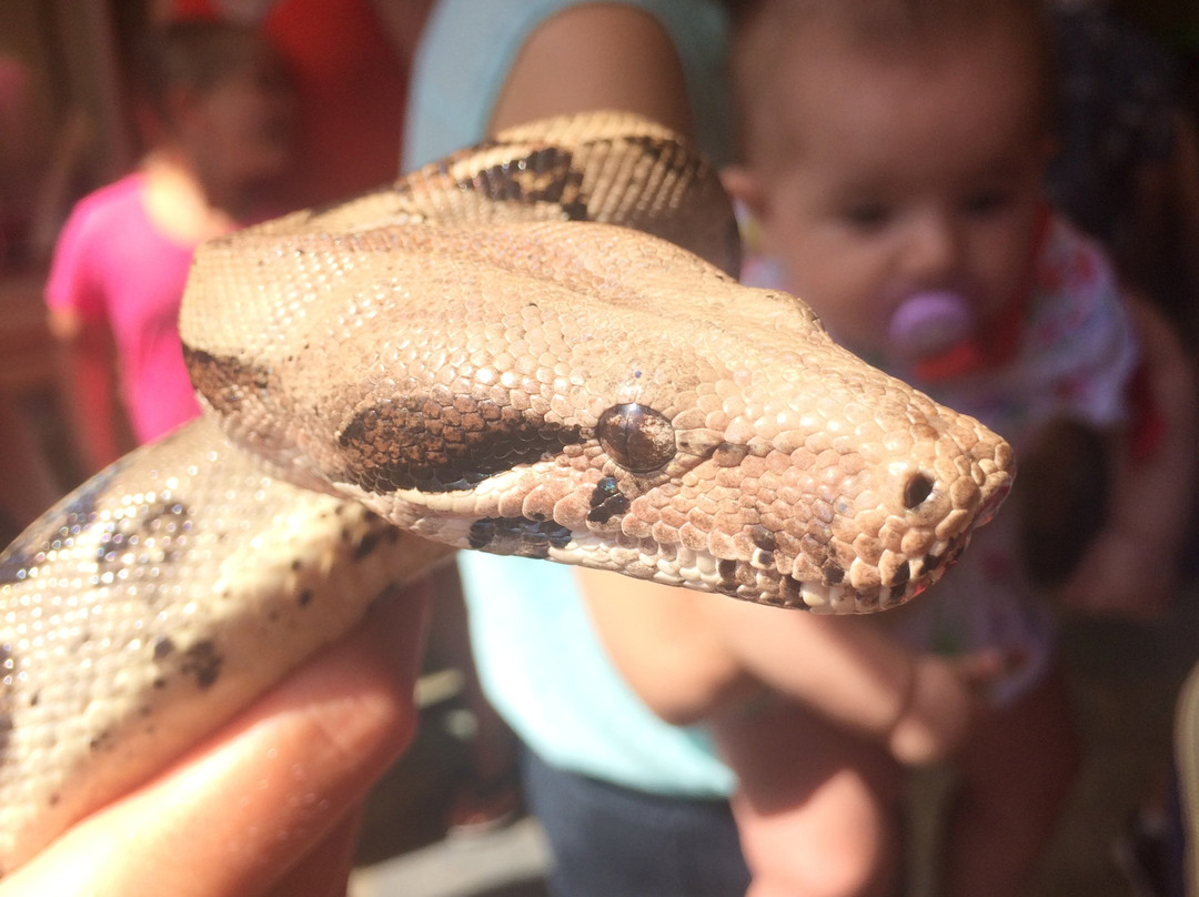 Aquaworld Aquarium & Reptile Rescue Centre-赫索尼索斯必去景点
