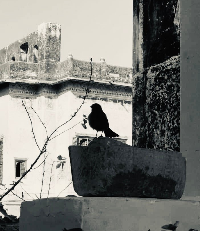 Vedaaranya Haveli主图