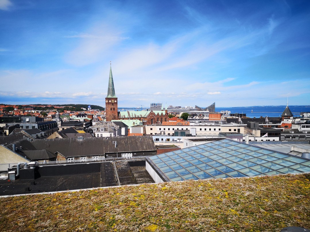 Salling Department Store-欧胡斯必去景点