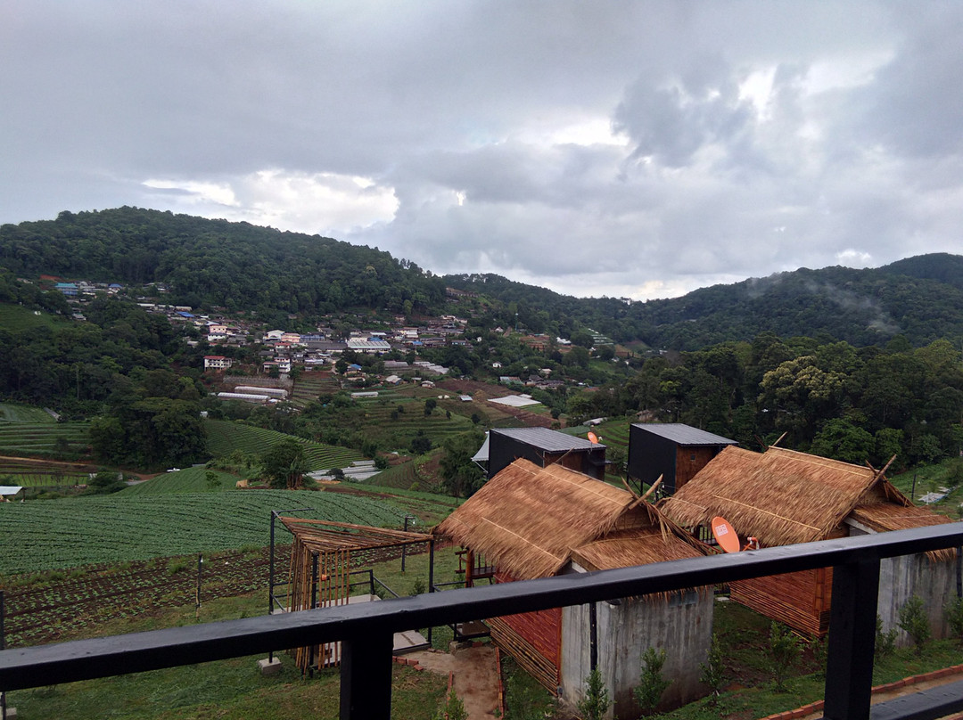 Monsaan