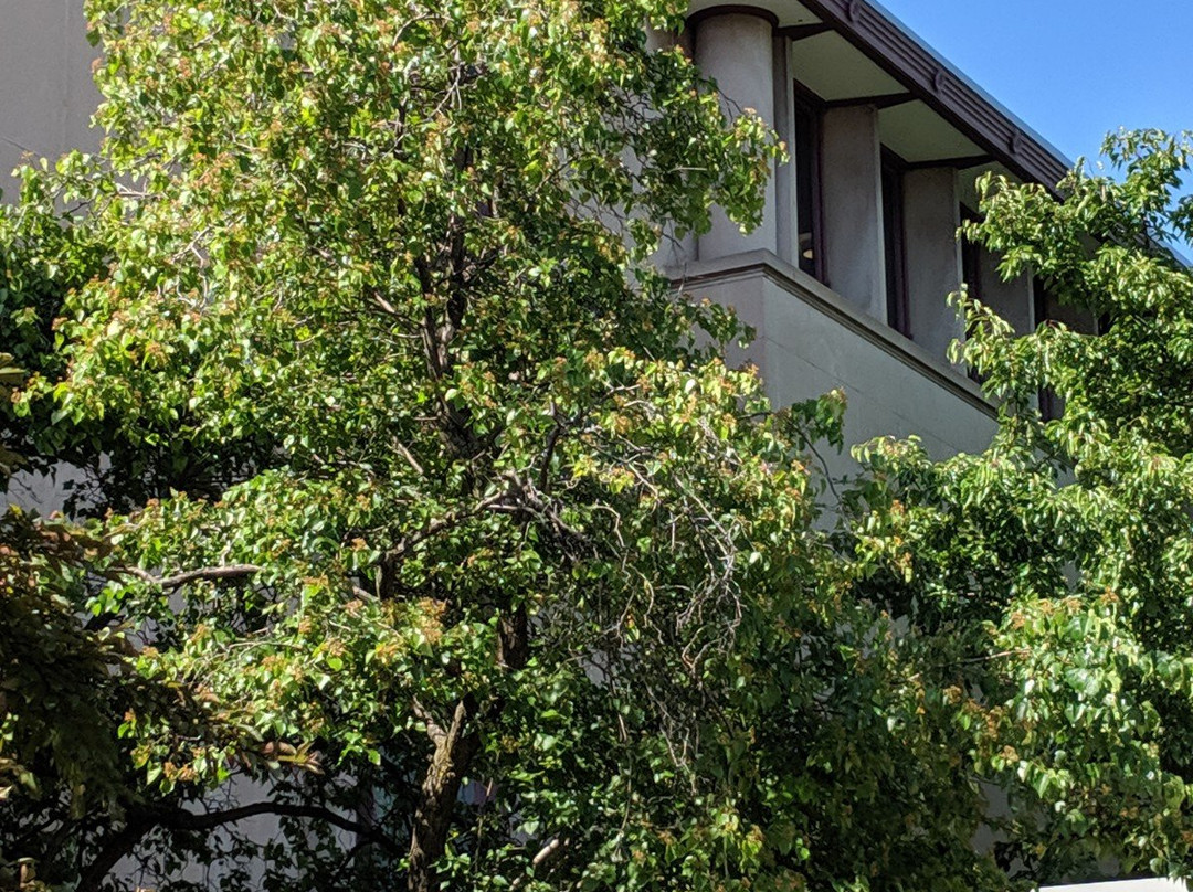 底特律历史博物馆-底特律必去景点