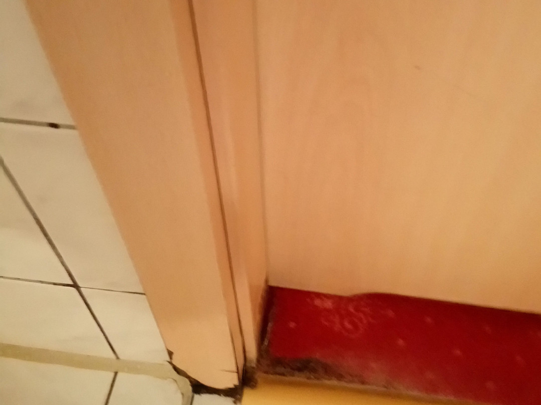 Soibelmanns Hotel Rugen主图