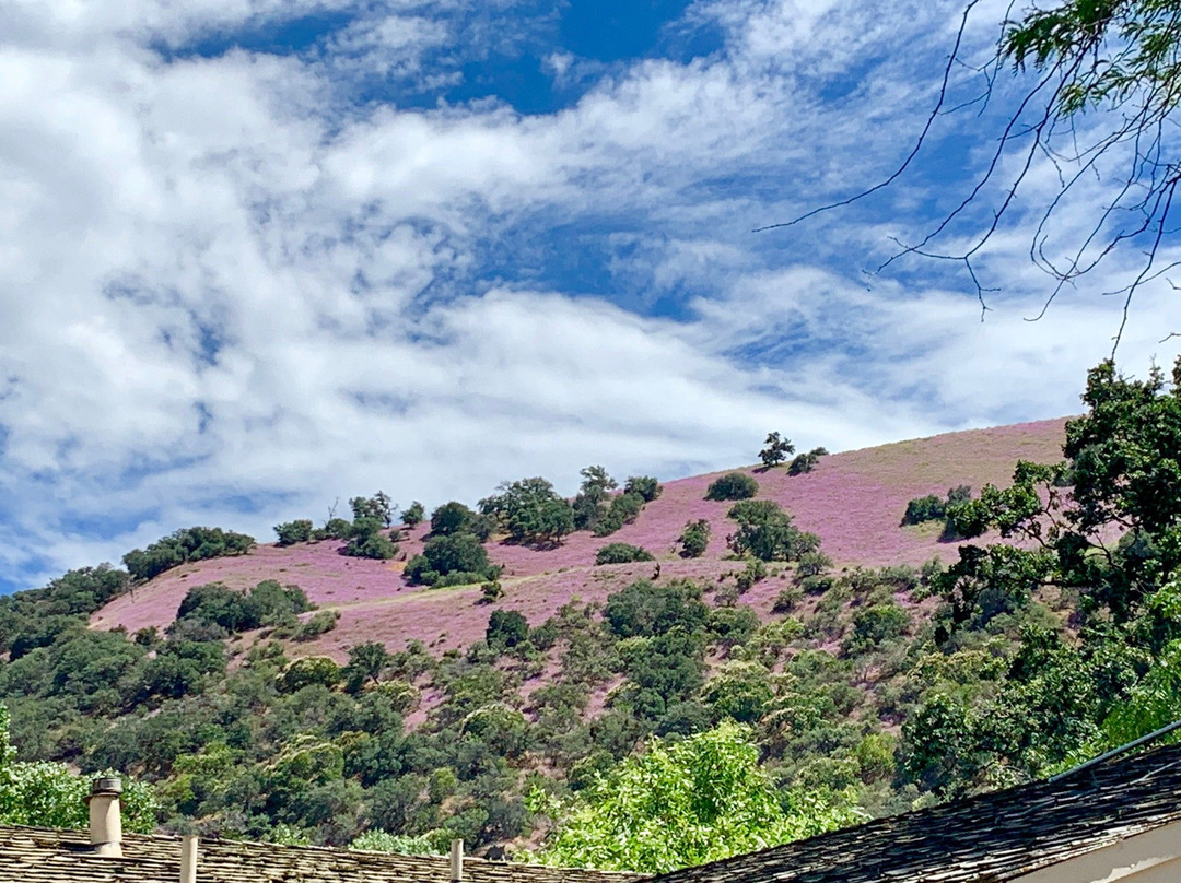 Fort Tejon State Historical park-Lebec必去景点
