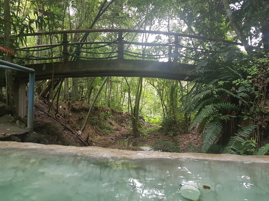 Cascadas de Alex景点图片