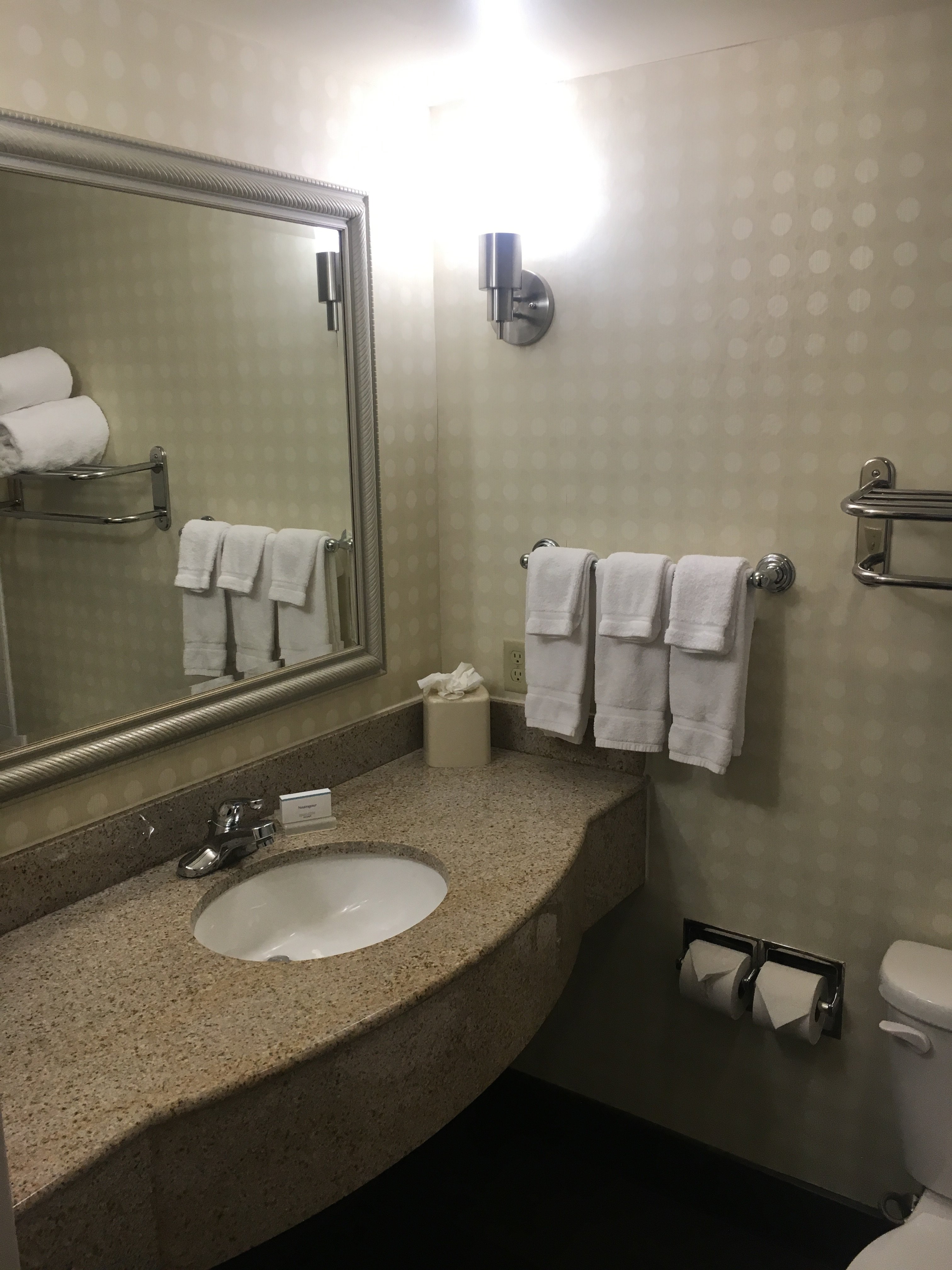 拉斐特瓦巴什兰丁希尔顿花园酒店-浴室