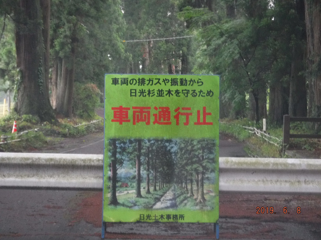 Cryptomeria Avenue-日光市必去景点
