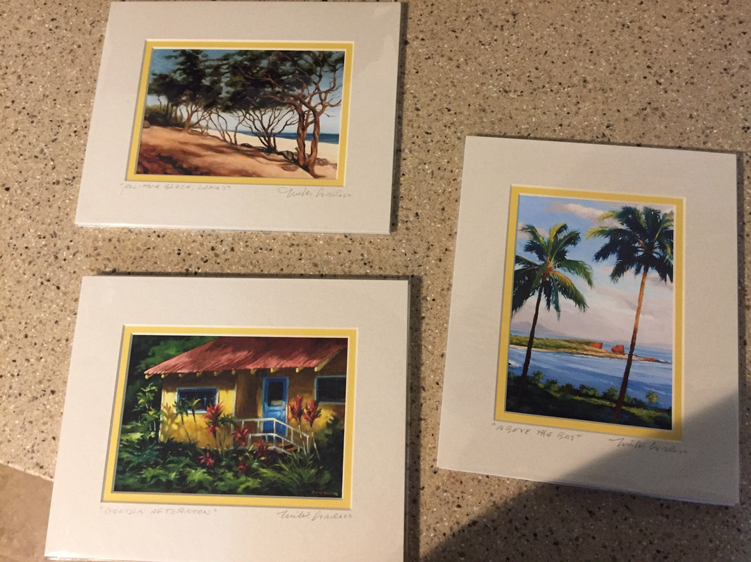 Mike Carroll Gallery-拉奈市必去景点