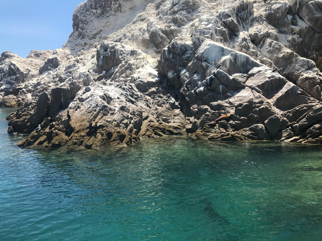 Isla San Jorge-佩纳斯科港必去景点