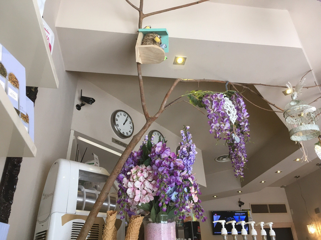 Coffee Time-Paderno Dugnano必去景点