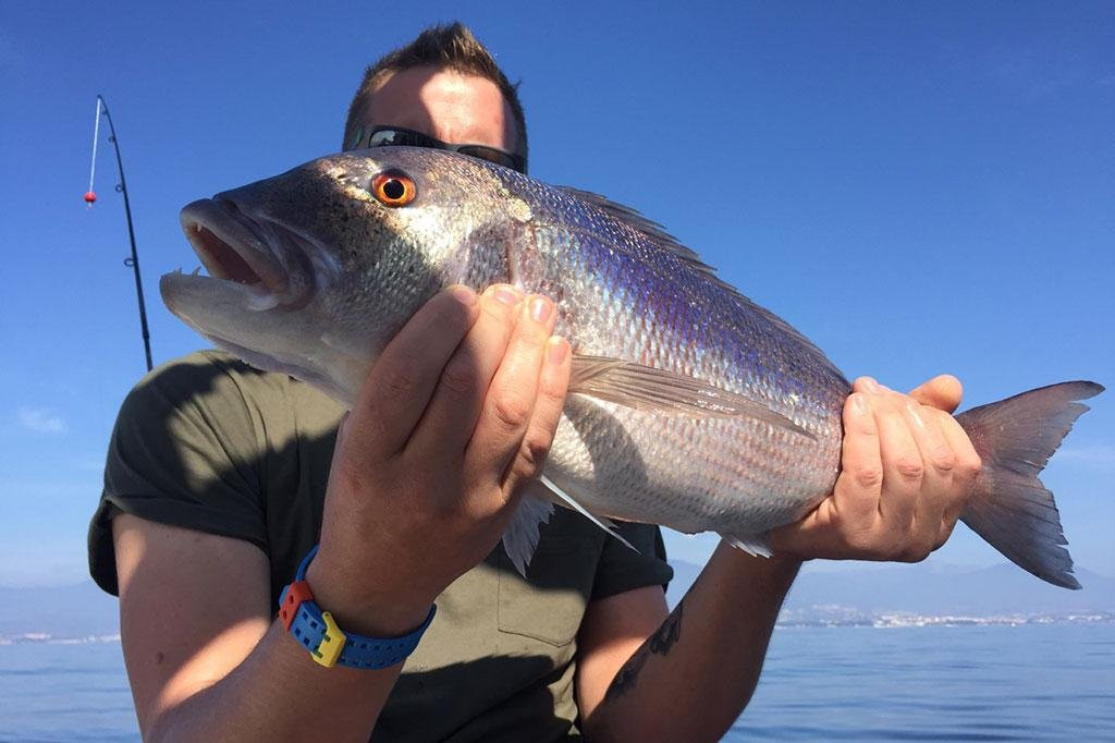 Mallorca Top Charters-波连萨必去景点