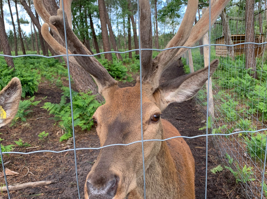 Animalia Parc-Naujac-sur-Mer必去景点
