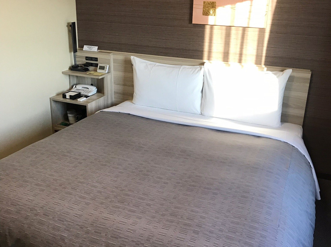 Hotel Route Inn Ishioka主图