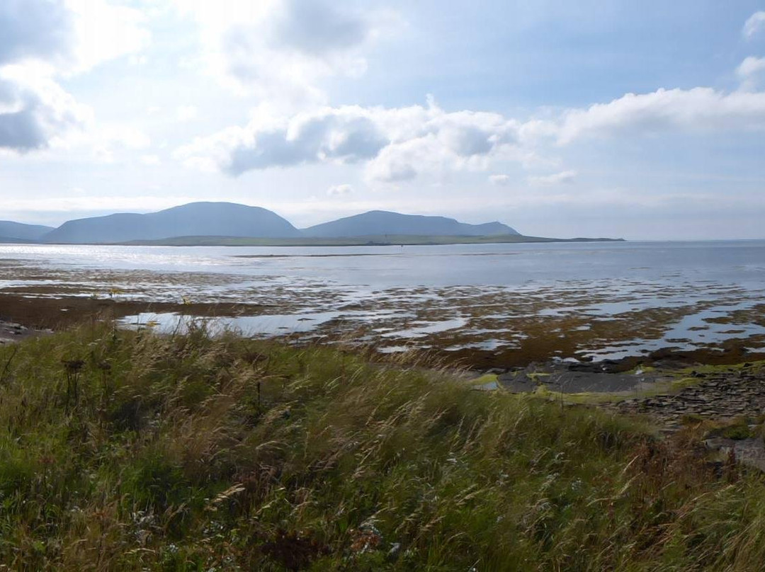 Orkney Highlights Tours - Chris Matthews景点图片