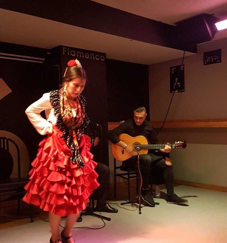 Tablao Flamenco Luceros 16景点图片