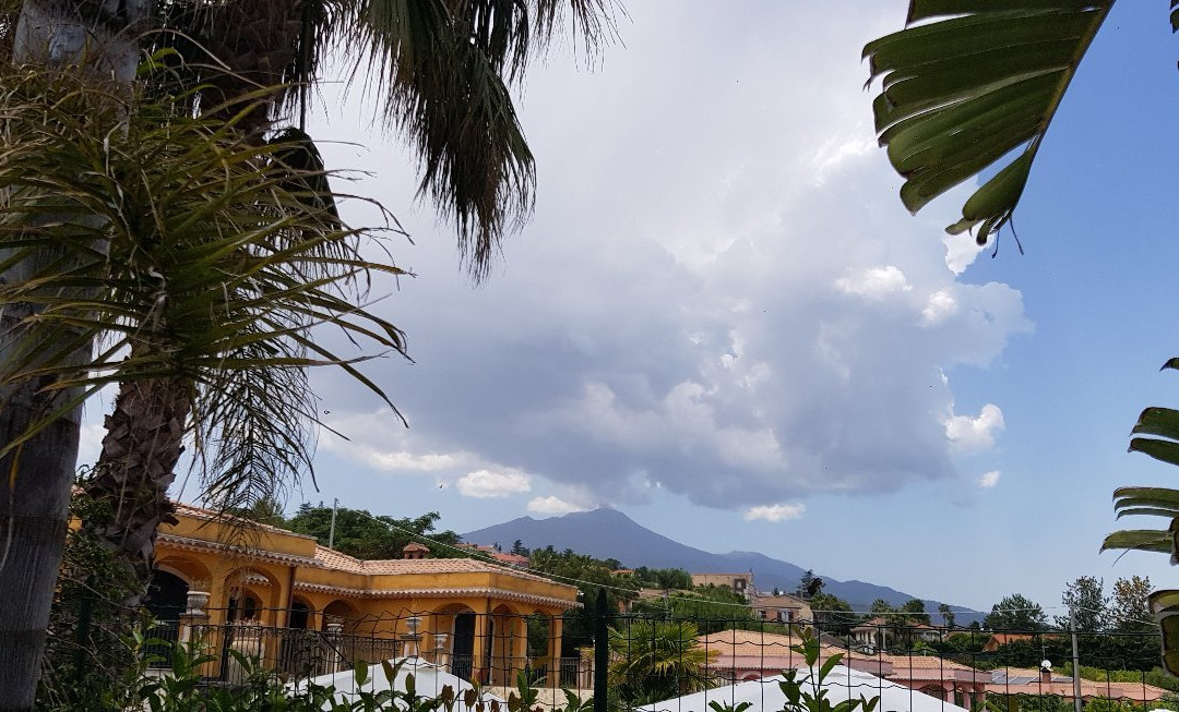 My Home in Sicily主图