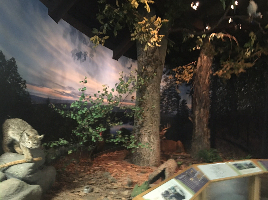 Turner Falls-Turners Falls必去景点