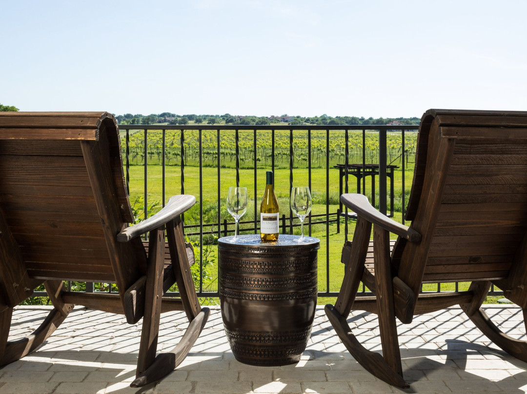 The Vineyard at Florence主图