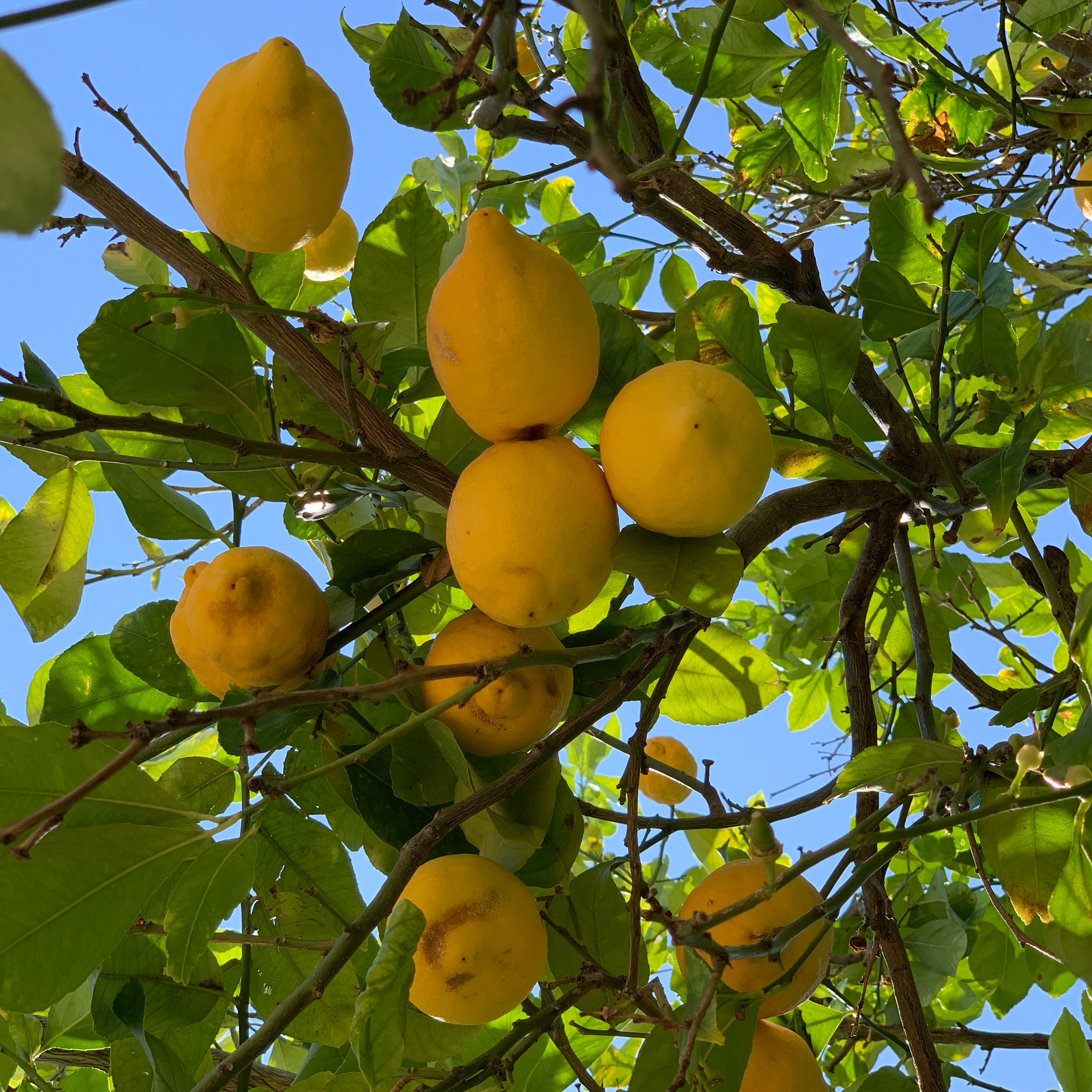 Agroturisme Finca Sa Maniga-浴室