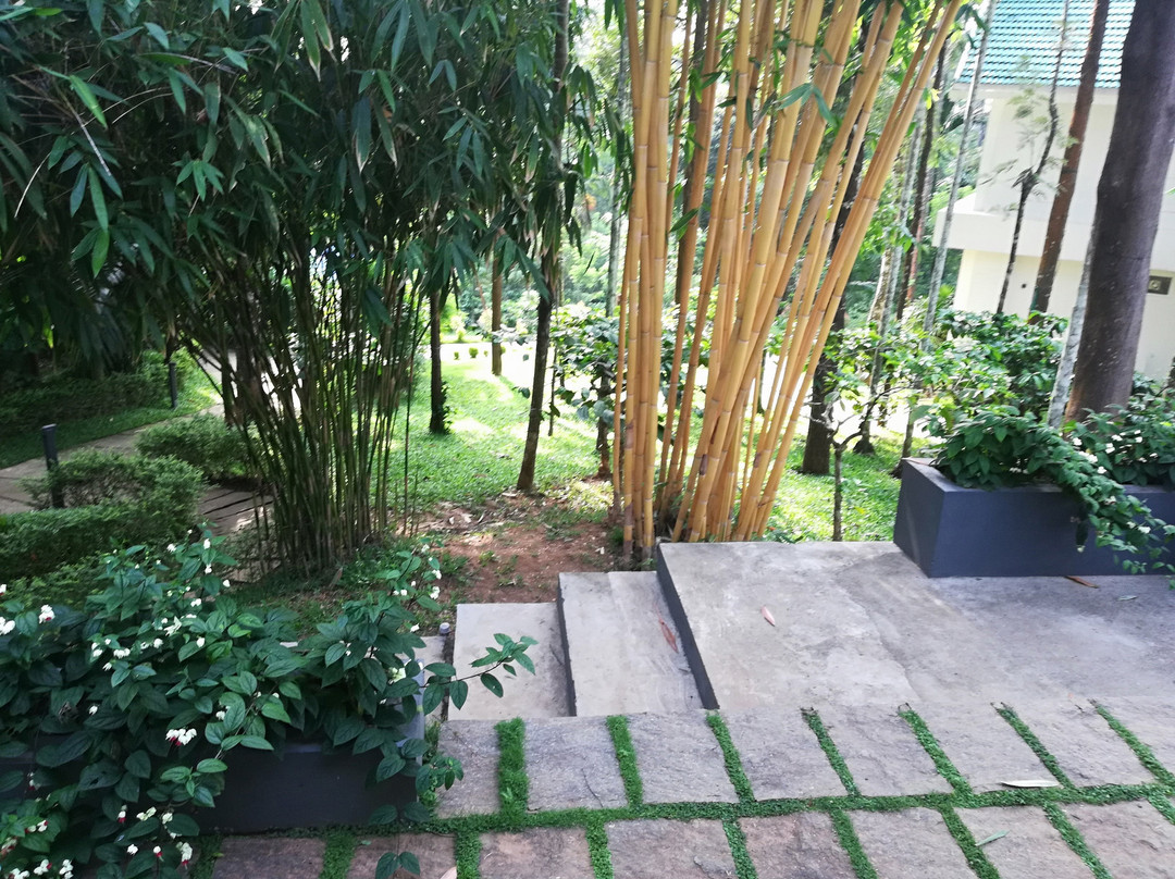 Kittur酒店住宿-The Woods Resorts Wayanad