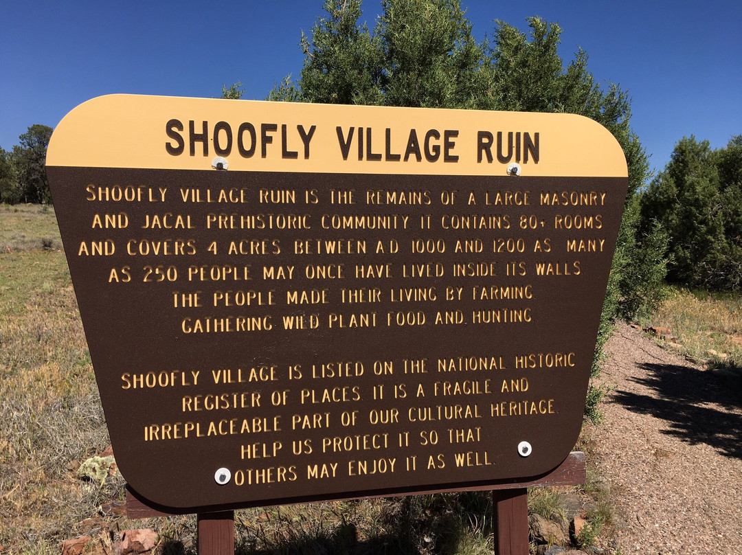 Shoofly Indian Archaeological Site-Payson必去景点