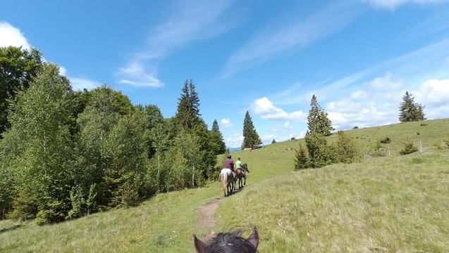 Tours in Brasov-布拉索夫必去景点