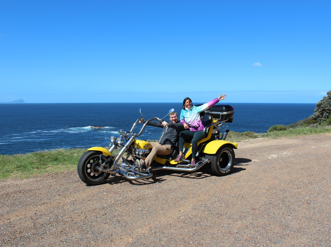Cape Town Trike Tours-开普敦中心区必去景点