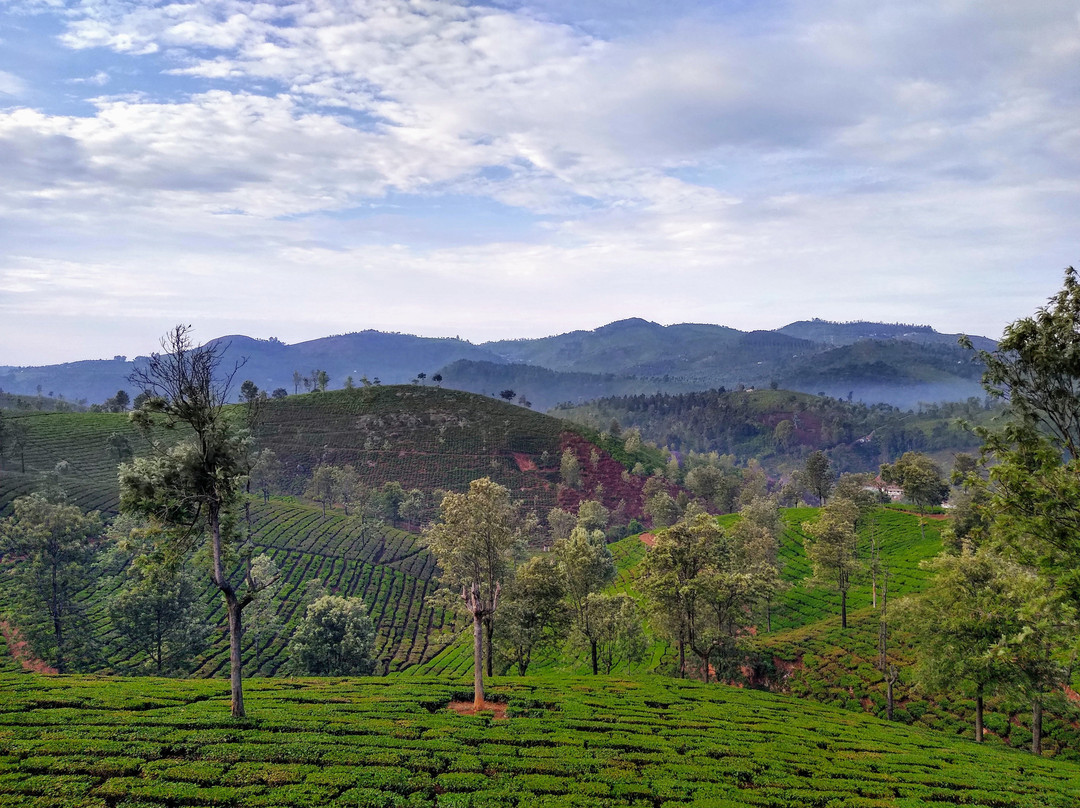 Great Windows Resort