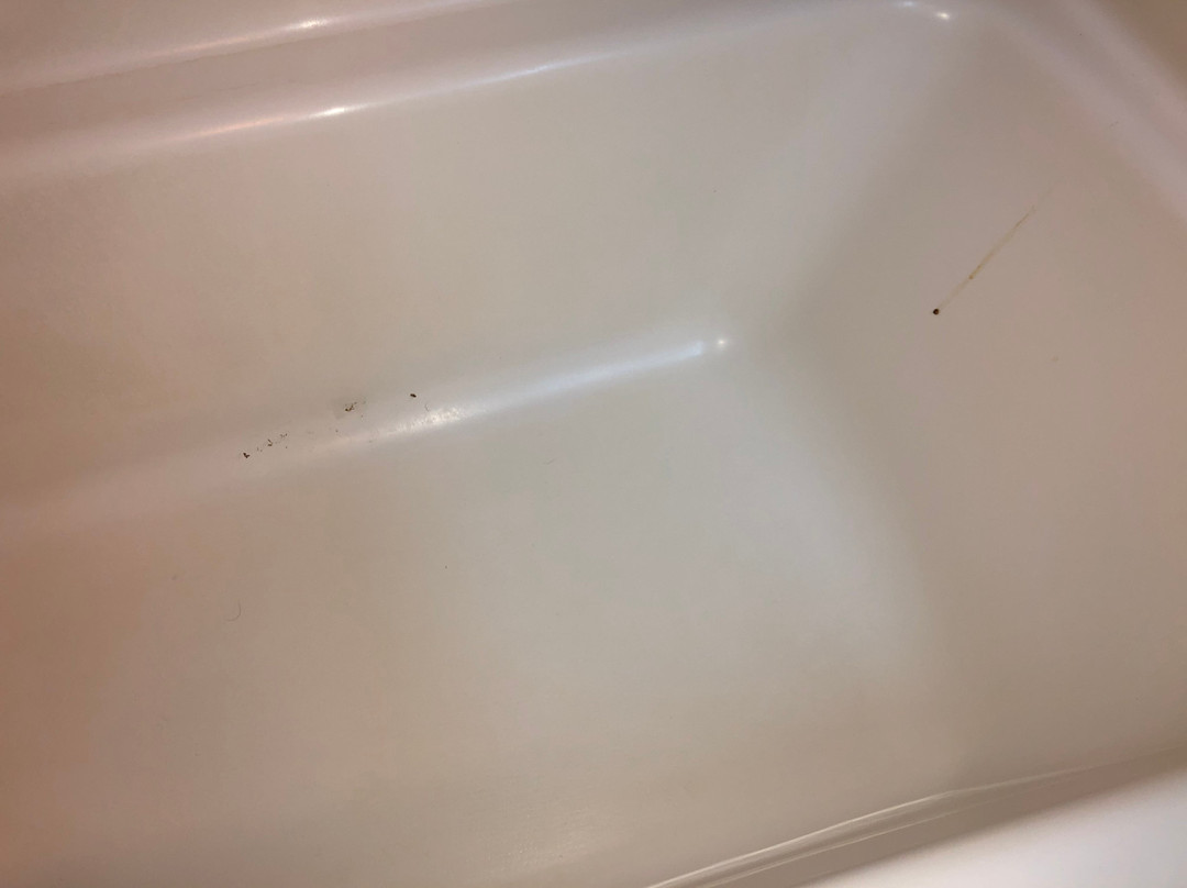 林肯烛木套房酒店主图