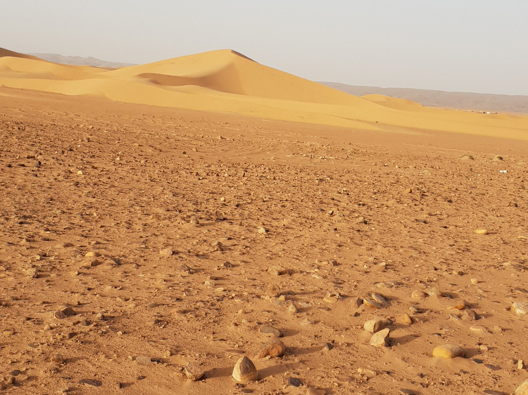 Sahara Trend景点图片