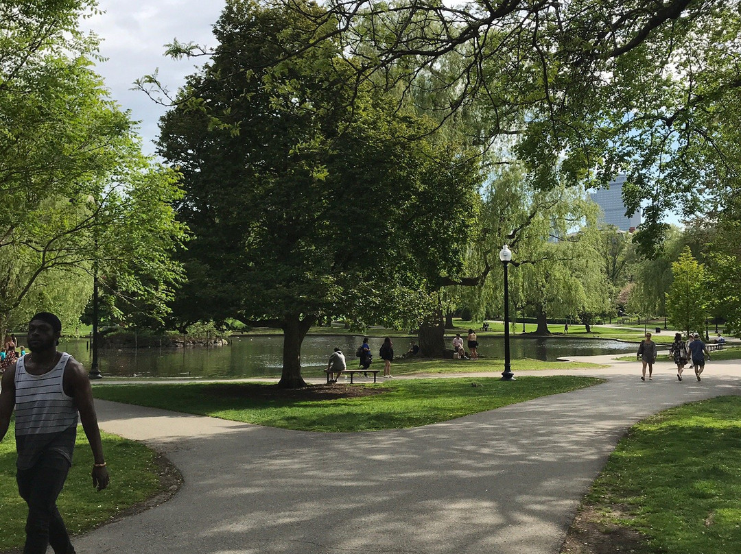 波士顿公共花园景点图片