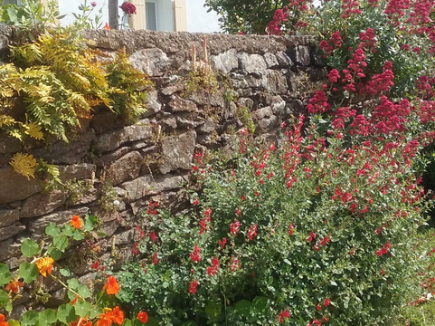 Hotel l'Escale主图